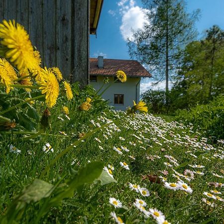 Ferienhaus Schlierachtal Miesbach Exteriör bild